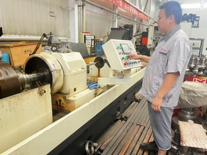 Área de Inspección