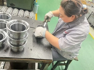 Área de Inspección